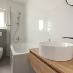 Fe *